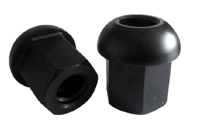Domed NutĢ^ĸ.jpg